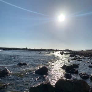 Meet your Posher, Mimis